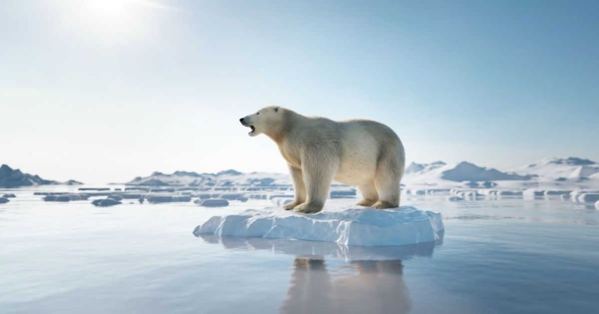22 Meanings when you Dream about Bears