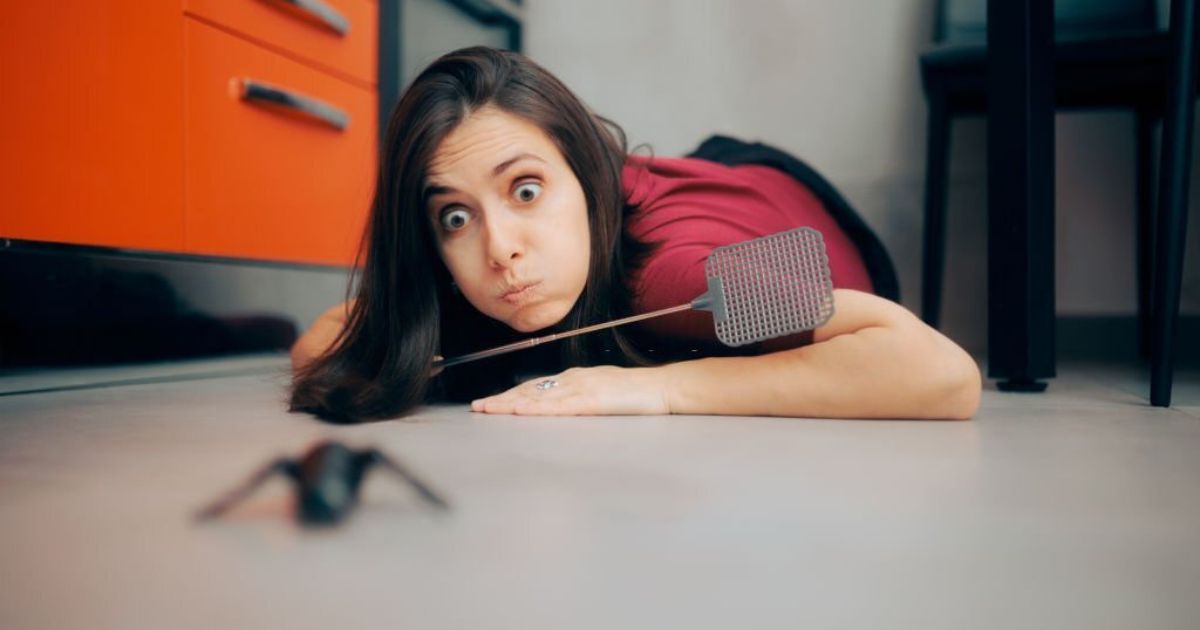 17 Meanings when you Dream about Bugs