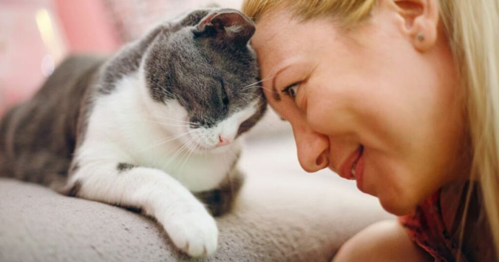Spiritual Meanings Of Cat