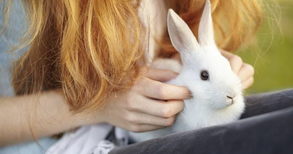 True Meaning And Right Interpretation Of Dream About Rabbits