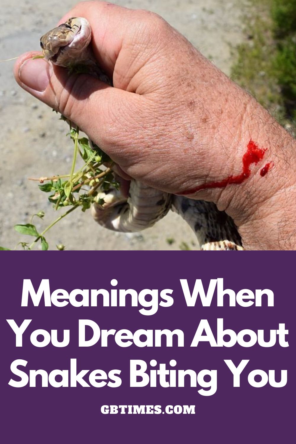 Dreams About Snakes Biting You Meaning