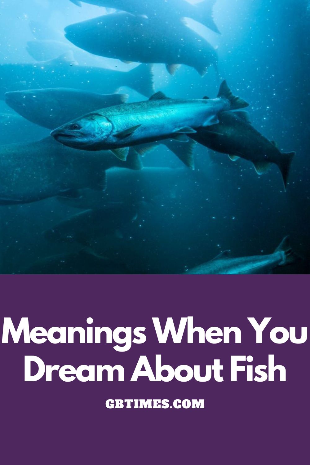 The Hidden Symbolism Of Fish In Dreams