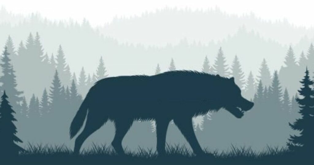 The significant meaning of a wolf in dreams