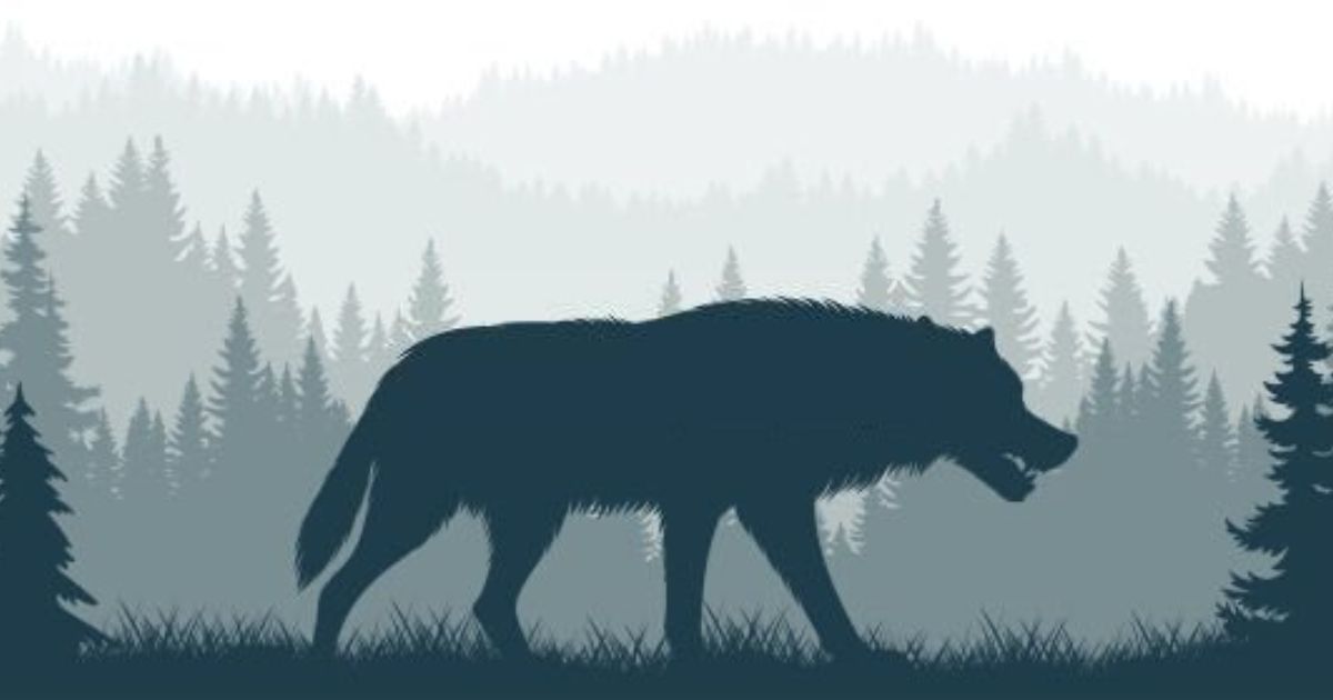 24 Meanings When You Dream About Wolves