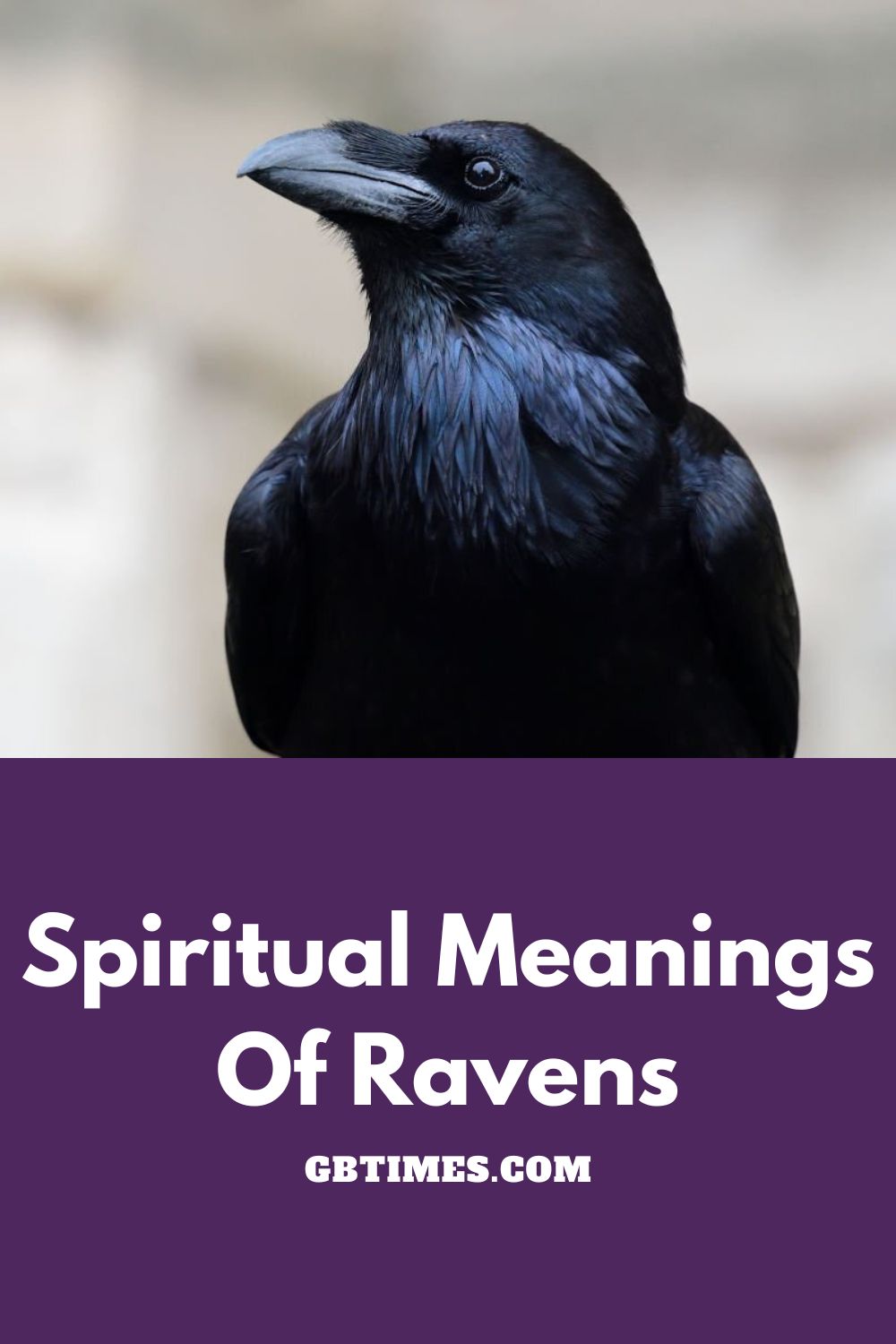 Raven Symbolism & Meaning (+Totem, Spirit & Omens)
