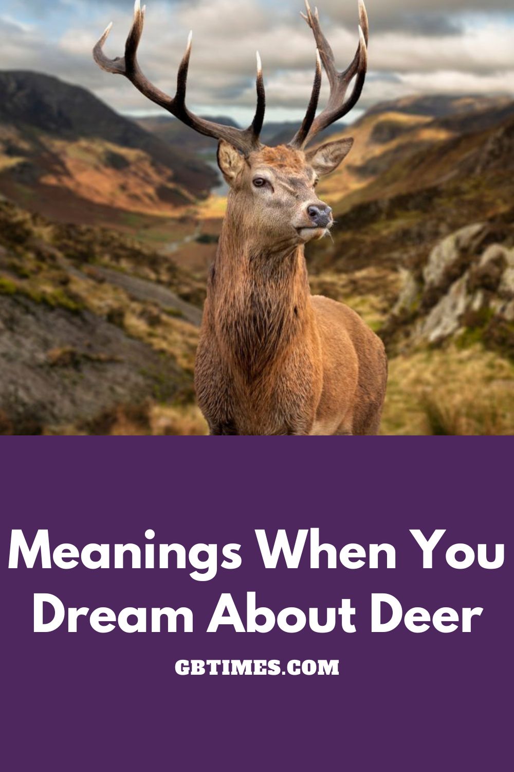 What Do Deer in Dreams Mean?